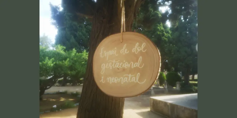 Actes del Dia Internacional del Dol Perinatal i Gestacional
