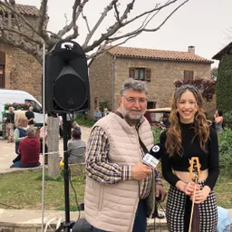 novela