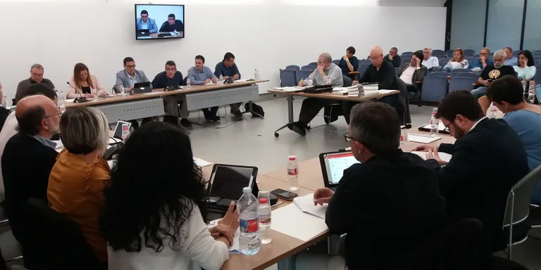 El ple de Pineda aprova la moció "en defensa dels/les treballadores/ors de l'àmbit de la llar i de la cura de les persones"