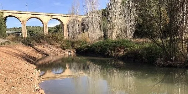La restauració ecològica i funcional de la Zona Humida de la Resclosa del Catllar culminarà amb una jornada de voluntariat ambiental