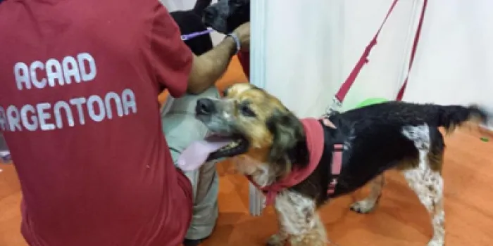 El CAAD aconsegueix adoptar 5 gossos i 5 gats al Saló Animalada