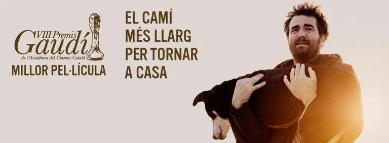 El CineClub La Seu projecta 'El camí més llarg per tornar a casa', Premi Gaudí 2016