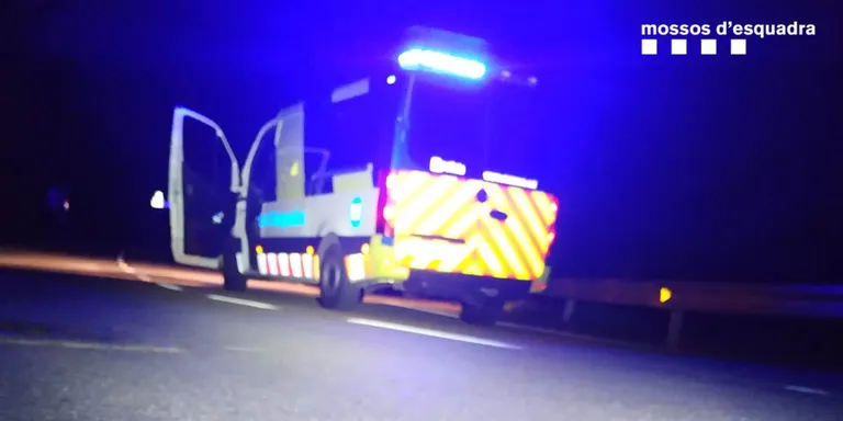 Retirat un eriçó que era enmig d'una carretera de l'Alt Urgell