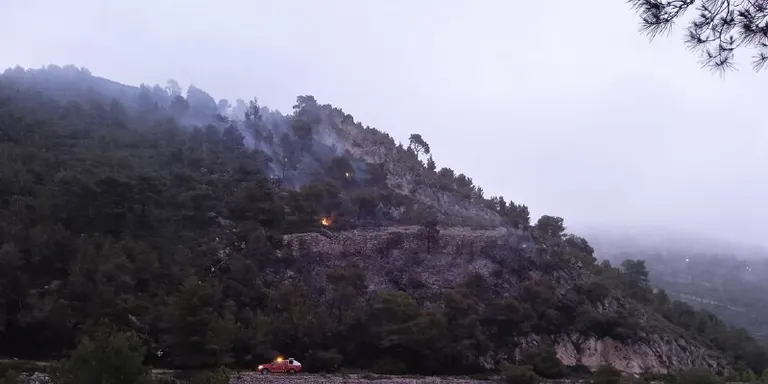 Un incendi forestal a Fontscaldes crema amb poca intensitat