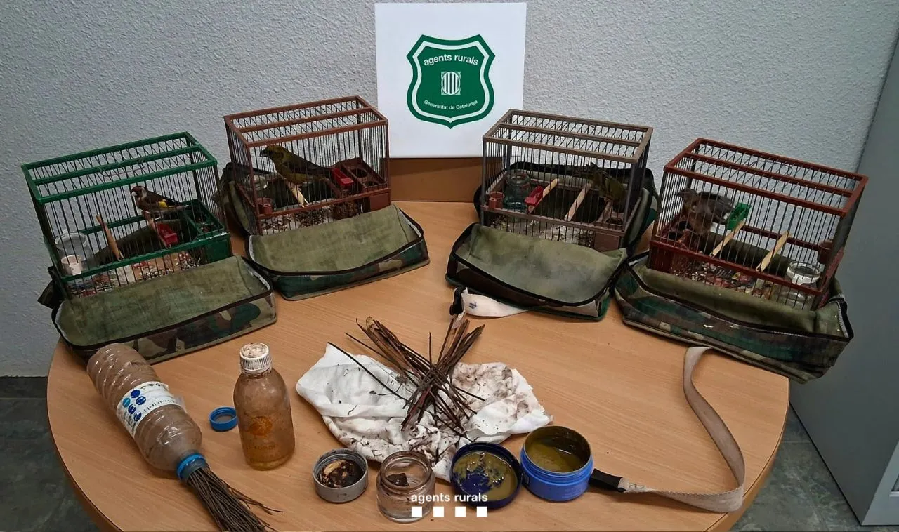 Els Agents Rurals denuncien una persona al Solsonès per a ús d'arts prohibides de captura