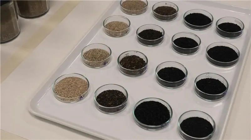 Experts del CTFC demostren el potencial de les biorefineries per crear productes d'alt valor a partir de la biomassa forestal