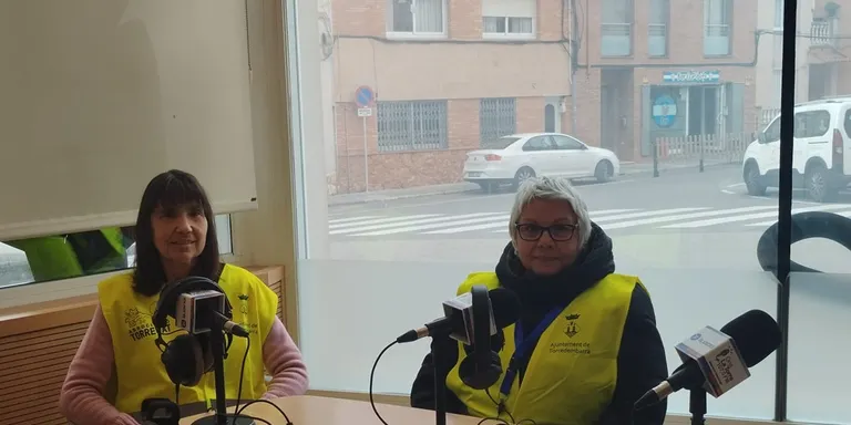 Torrecat busca més voluntaris per alimentar les colònies de gats
