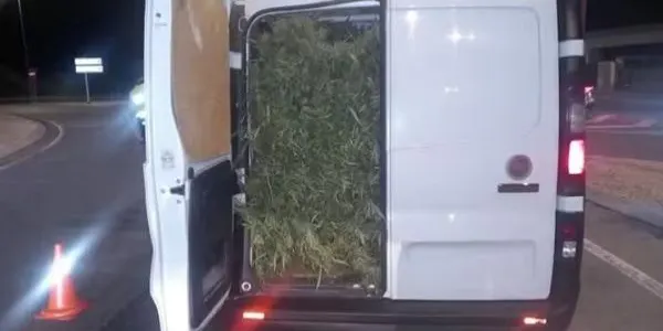 Els Mossos intercepten a Tarragona dues furgonetes carregades amb plantes de marihuana