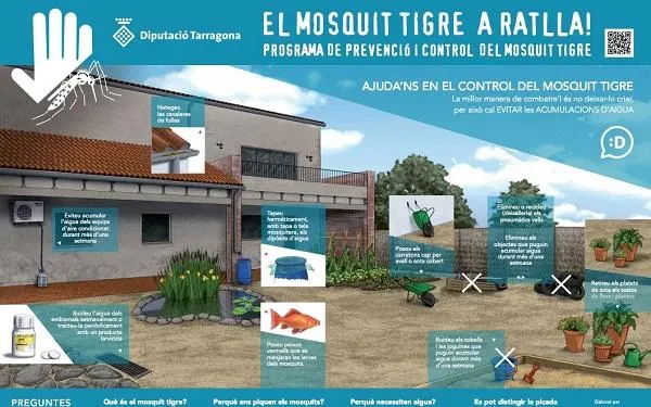 L’absència de famílies de segona residència ha afavorit l’aparició del mosquit tigre a Altafulla