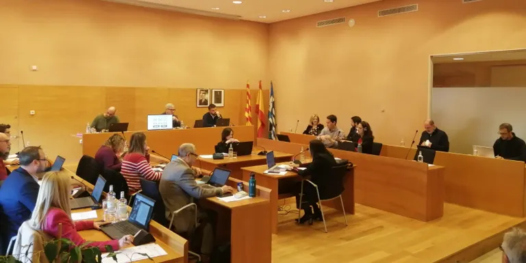 S'aprova la creació de diverses comissions per a la redacció i modificació de reglaments i ordenances