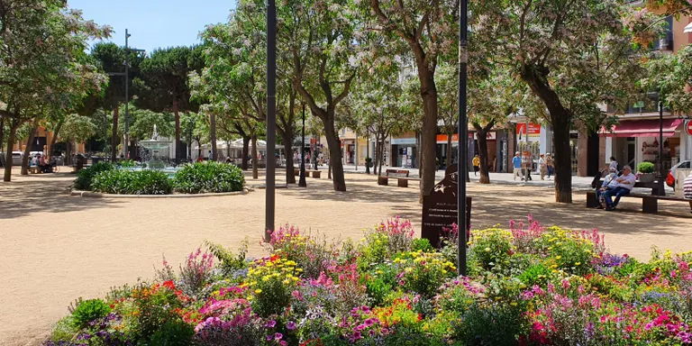 Pineda entre les Viles Florides del Maresme