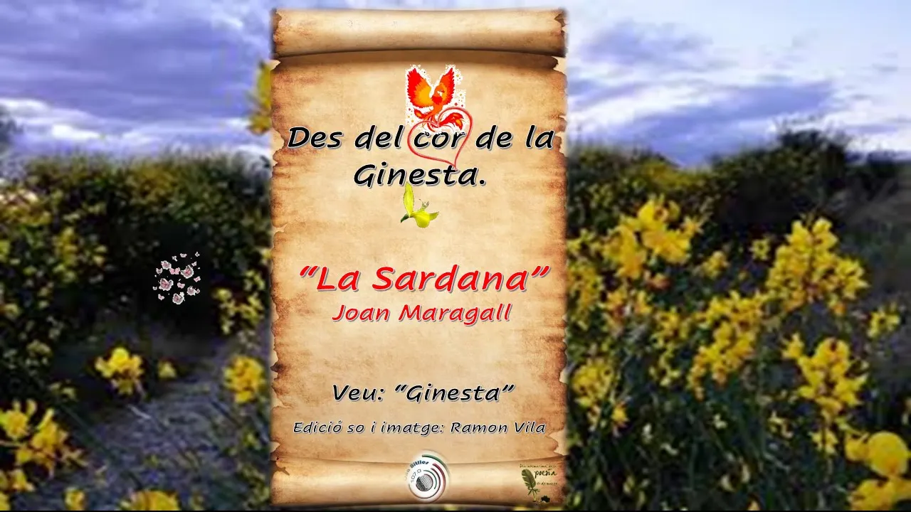 Des del cor de la “Ginesta”, ens enamorem de “La Sardana”. Un poema d’en Joan Maragall.