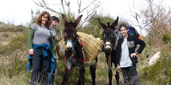 La ruta 'Ramat de Camins' ofereix la possibilitat de portar un ruc català com a traginer