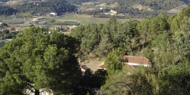 Els experts alerten que el Montnegre-Corredor "és un polvorí" i cal una gestió eficaç dels boscos