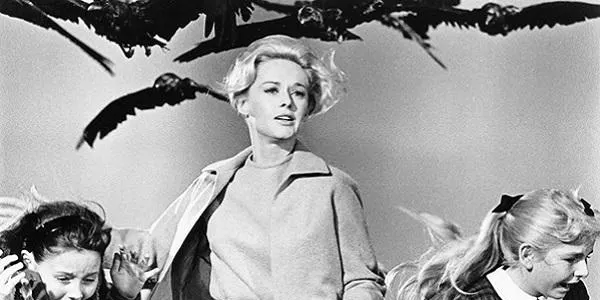 El 7è Llibre d’Altafulla tanca la seva primera temporada amb la pel·lícula ‘Los pájaros’ d’Alfred Hitchcock