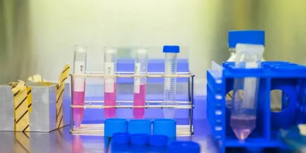 L'obesitat o la síndrome metabòlica s'associa a un pitjor pronòstic de Covid, segons un estudi del Joan XXII