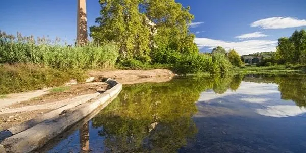 L’Associació Mediambiental La Sínia d’Altafulla commemora el Dia Mundial de les Zones Humides