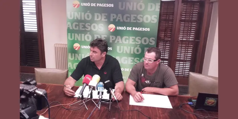 Unió de Pagesos exposa amb imatges i informes que els voltors ataquen bestiar viu