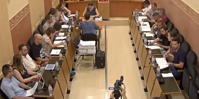 Ple ordinari juliol 2018