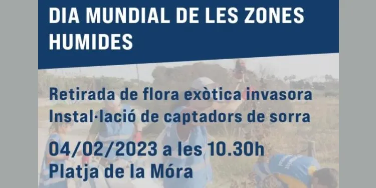 La Sínia commemora el Dia de les Zones Humides amb una acció al torrent de la Móra