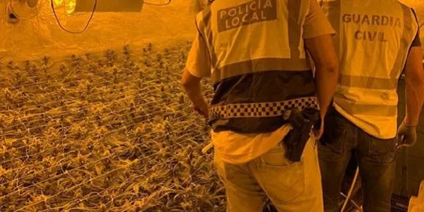 Desmantellada una plantació de marihuana en un garatge de Torredembarra
