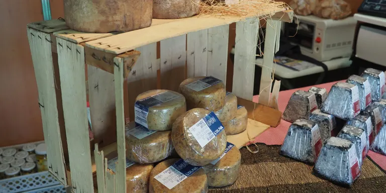 El Departament d'Agricultura endega un procés participatiu sobre el futur de l'alimentació a Catalunya