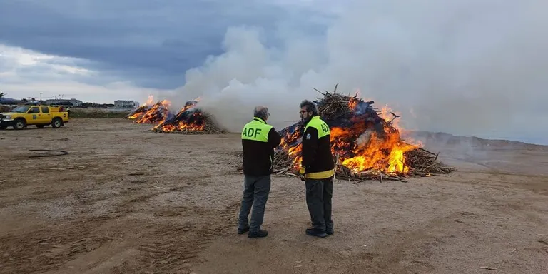 Ha començat la crema de canyes de les platges de Pineda provinents del temporal Glòria