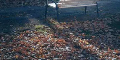 El Centre Cívic 'El Passeig' acull una col.lecció de fotògrafs aragonesos