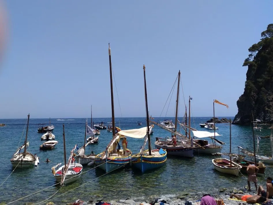 Barques de vela llatina de Pineda participen a la XXVena Trobada de Calella de Palafrugell