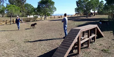 L’Ajuntament de Valls impulsa una campanya sobre la tinença responsable d’animals