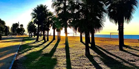 Sol i calor moderada els pròxims dies