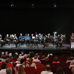 #1434 - El concert de tardor de l'Associació Rubí Musical Segle XXI - episode art