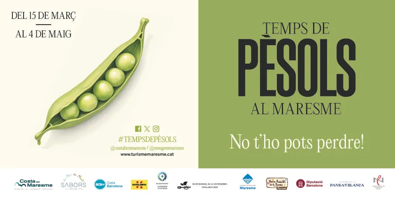 Comença una nova edició del 'Temps de pèsols' al Maresme