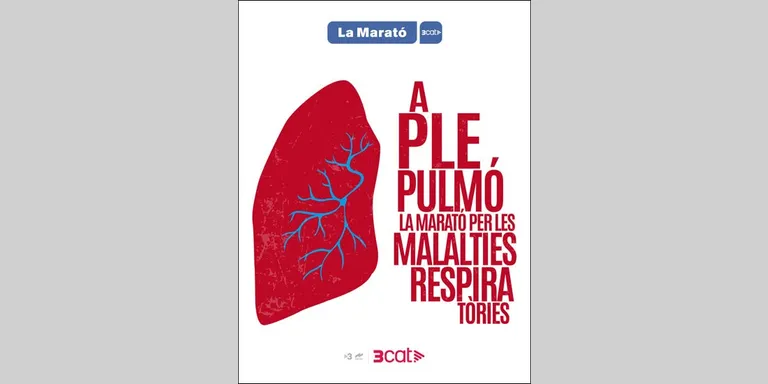 Sardanes solidàries amb la Marató