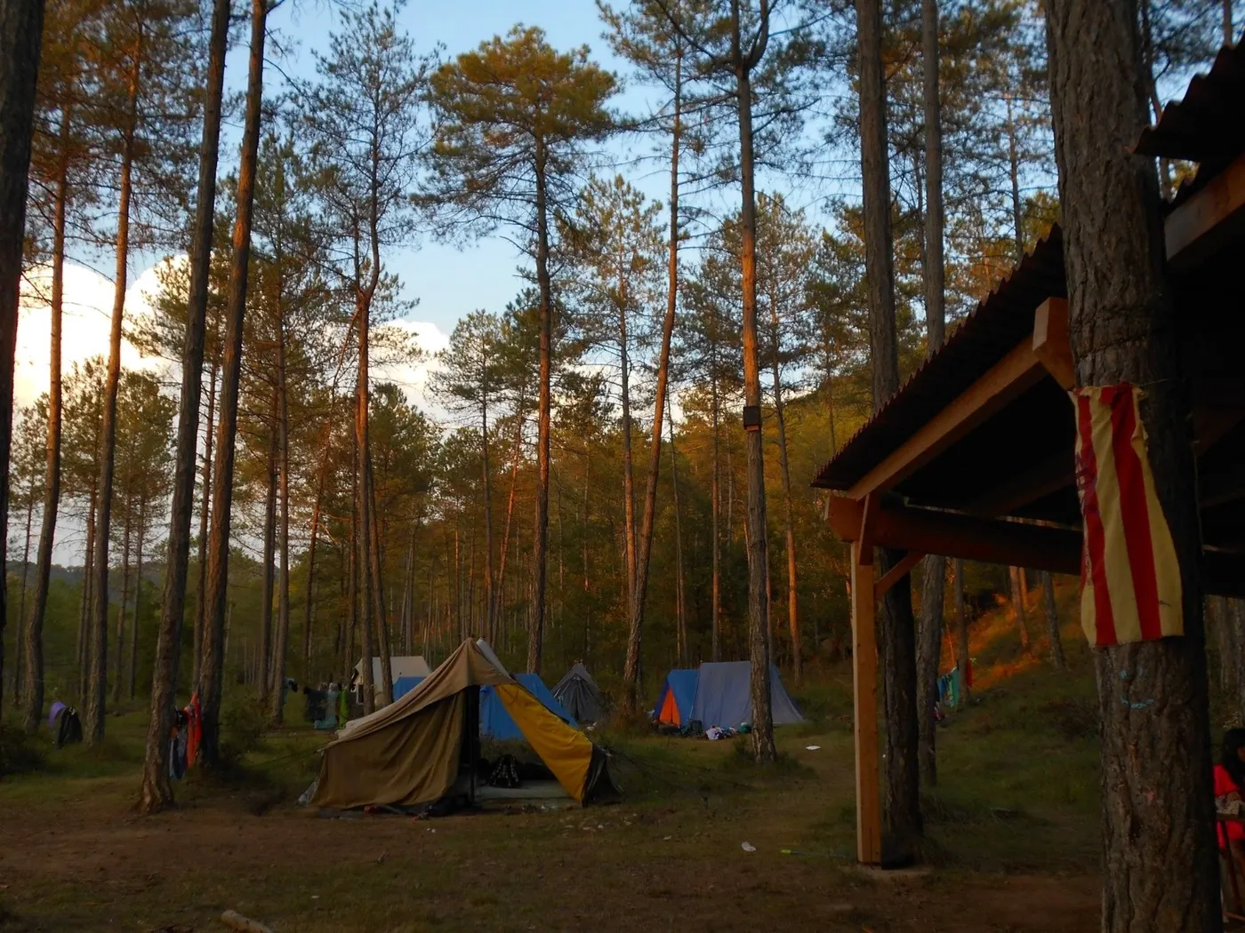 L’Esplai Riallera aprova un Pla d’Emergència i Evacuació per reforçar la seguretat dels infants als campaments de la Ribera Salada