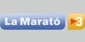 Reunió per preparar els actes de la Marató de TV3 a la Seu