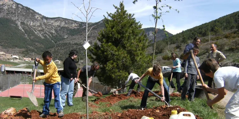 Els escolars de Tuixén participen en la plantada d'arbres del Cadí-Moixeró