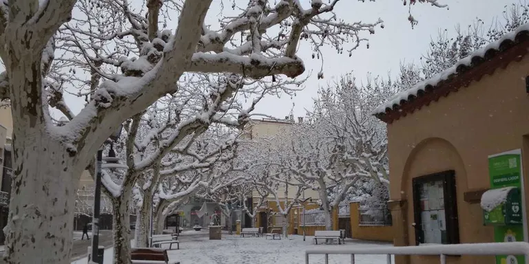 Última Hora – actualització dels efectes de la nevada 13.00 h