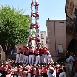 Diada castellera de la Serra de Montblanc 2026 - episode art