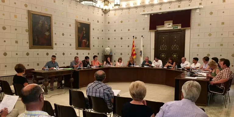 Aprovada a la Seu la moció 'Per un desenvolupament rural sostenible integral'