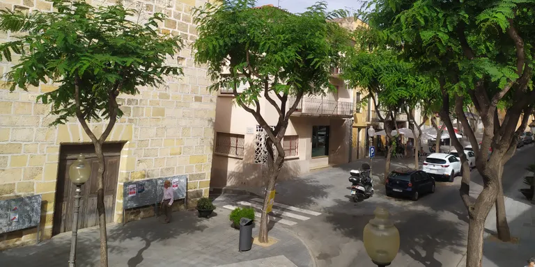 Es realitzen treballs de tractament fitosanitari als arbres del municipi