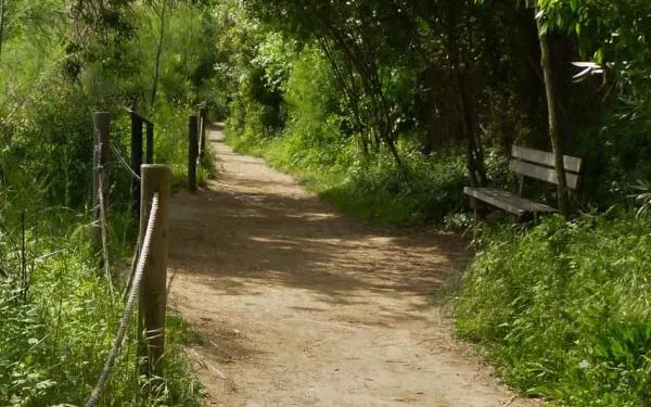 Foto: Arxiu