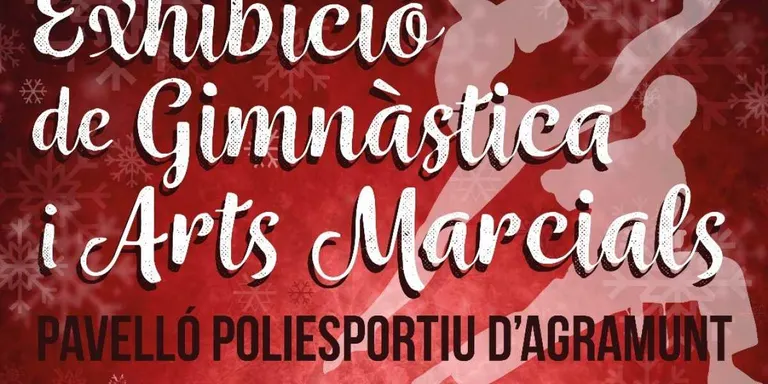 Exhibició de Gimnàstica i Arts Marcials a favor del Banc d'Aliments