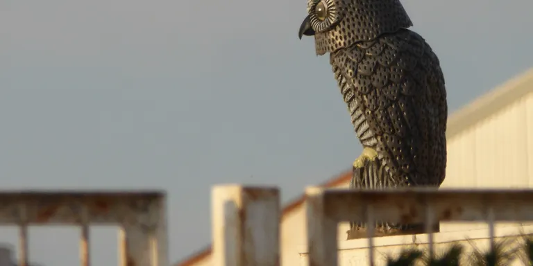Temps variable, possibilitat de petits ruixats i temperatures suaus