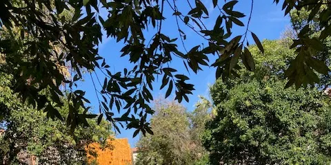 L’Ajuntament canvia els llistons de fusta de la plaça Onze de Setembre per un nou terra de sauló