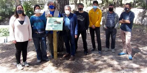L'Ajuntament d'Altafulla potencia la preservació i el coneixement dels ratpenats que habiten la finca del Canyadell