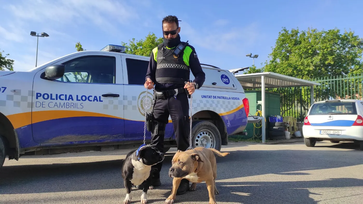 L’Ajuntament de Cambrils sanciona dues persones per incomplir la normativa de gossos potencialment perillosos
