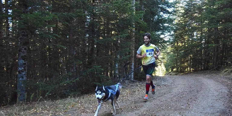 Bona rebuda de la Gos Àrtic Dryland Xtrem a Sant Joan de l'Erm
