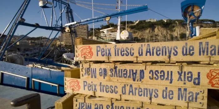 El port d’Arenys de Mar és el sisè en número de captures i el vuitè en recaptació a Catalunya