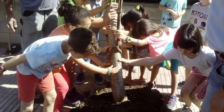 Uns 80 escolars planten arbres al Carrer Clos